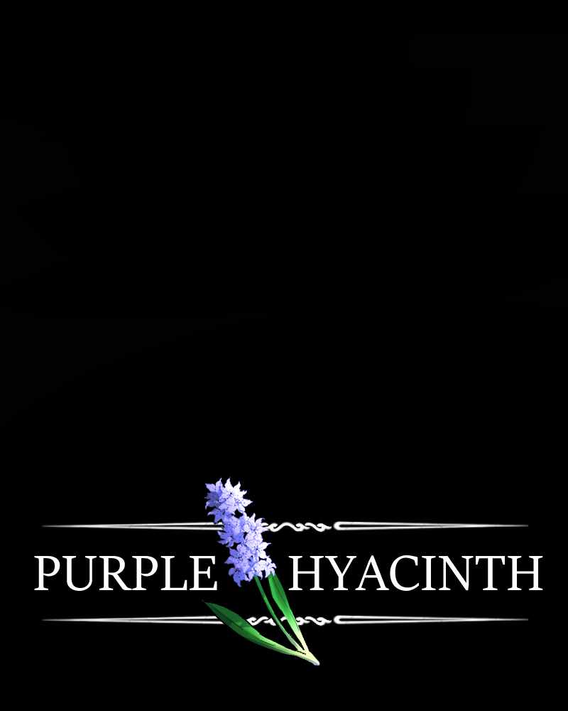 Purple Hyacinth Chapter 104 2